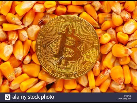 Trading Bitcoin and Making Mega Bucks With Corn