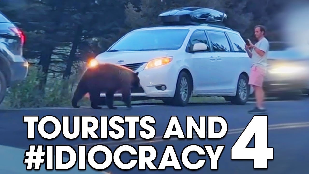 Tourists and #IDIOCRACY 4