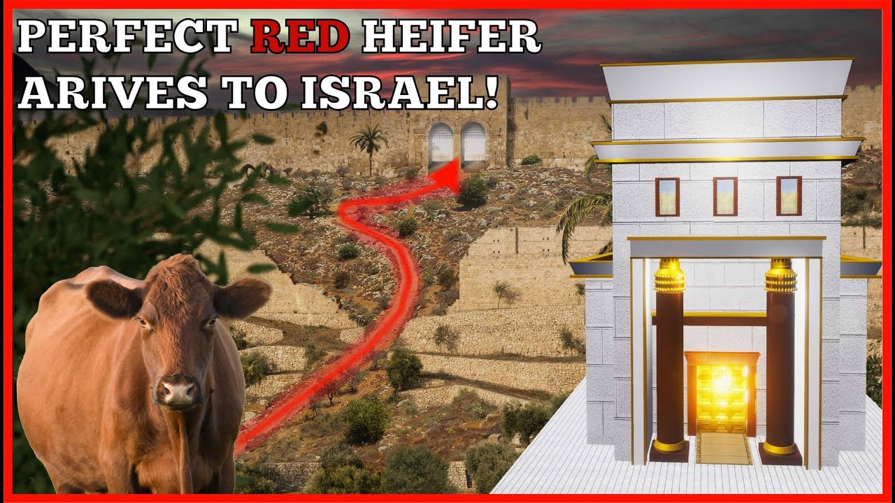 We are ready to build the THIRD TEMPLE!