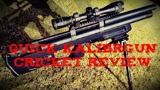 Kalibrgun Cricket Quick Review