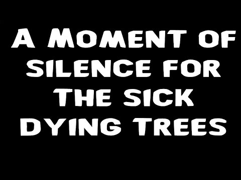 A Moment of silence for the sick dying trees