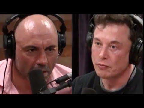 Elon Musk on the dangers of artificial intelligence