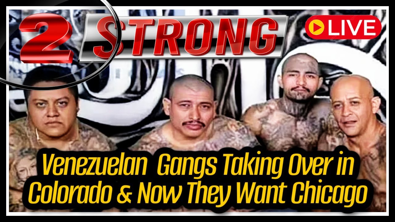 Venezuelan Gangs Confront Gangs In Chicago - "Ya'll Do Not Scare Us" ((( LIVE )))