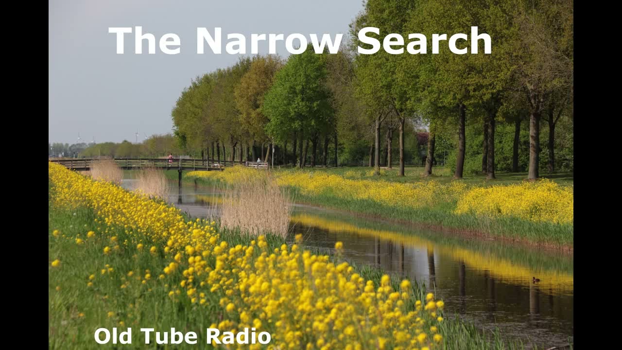 The Narrow Search by Andrew Garve