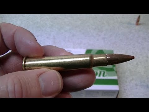 Remington .303 British 174 MC Ammo Review, Part 1