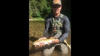 Kelly Creek-Idaho, back country flyfishing adventure 2017