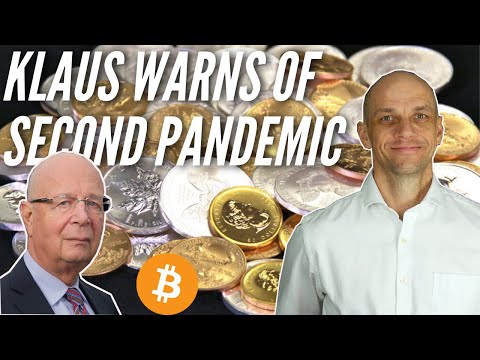 Gold, Silver, Bitcoin Market Update 20th Nov. Klaus Schwab's next warning