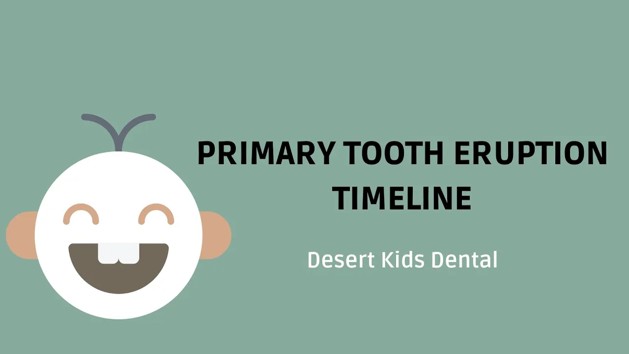 Primary Tooth Eruption Timeline