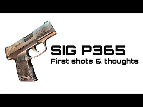 SIG P365 First Shots & Thoughts