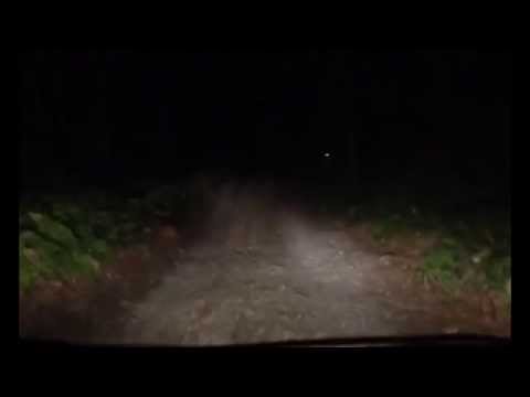 Man Encounters Deer With Human Face?