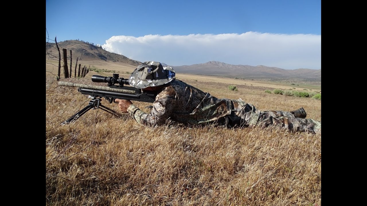 Extreme Air Rifle Varmint Hunt #2