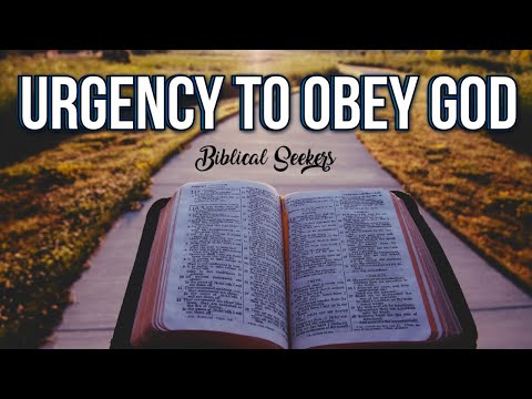 Urgency To Obey GOD