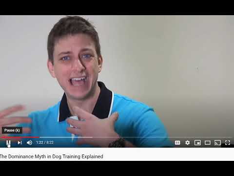 Zak George - The Dominance Spin Zone - Flipping the Script