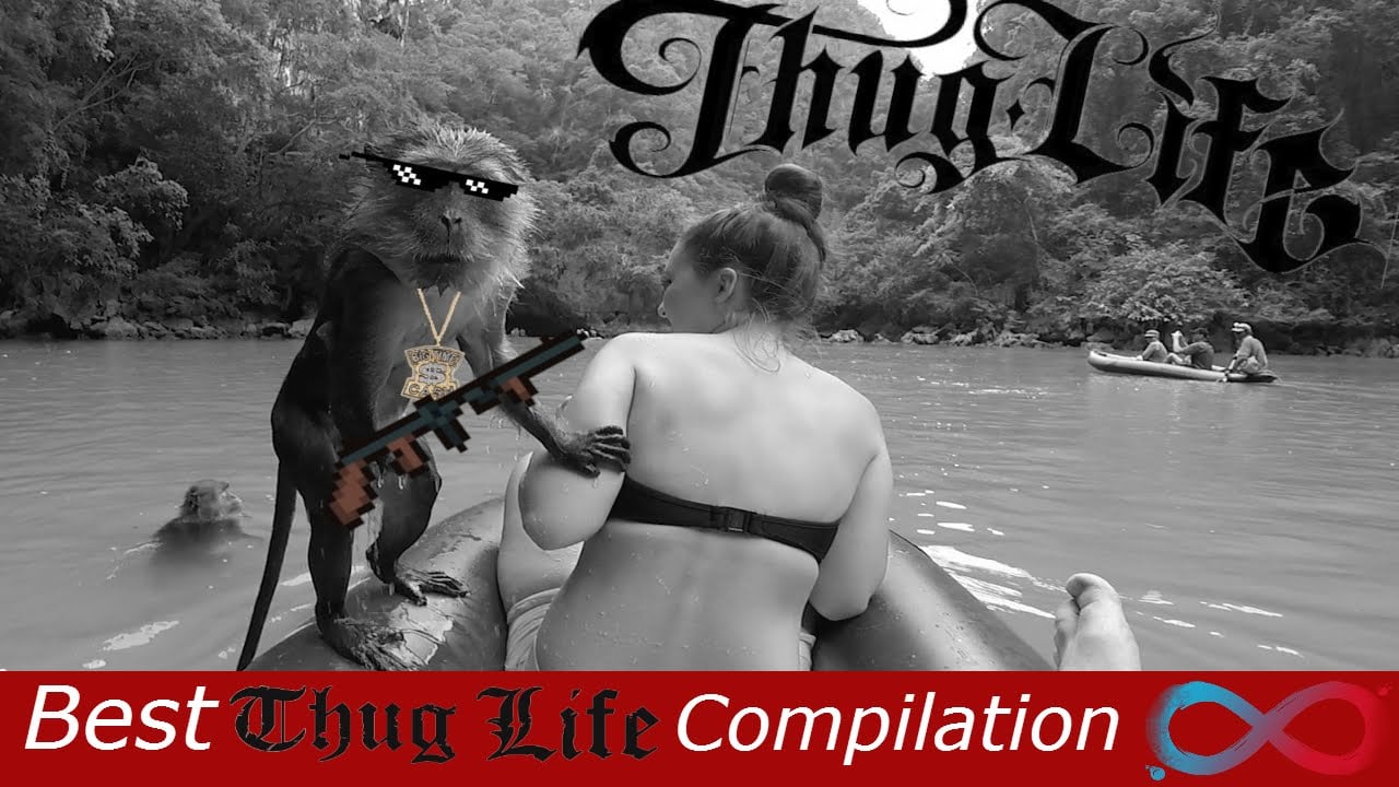 Best THUG LIFE & Turn Down For What Compilation 2015 (+50 Newest Videos)