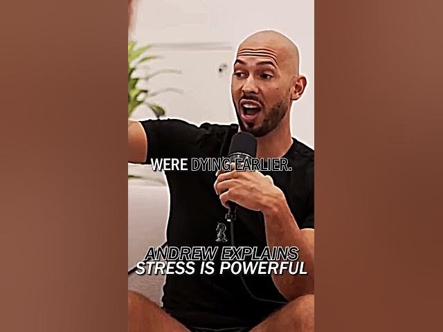 Andrew EXPLAINS Stress Is POWERFUL 🎆
