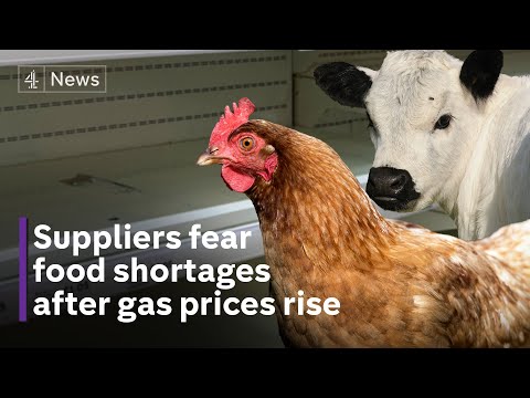 Wholesale gas price hike sparks fears of food supply shortages