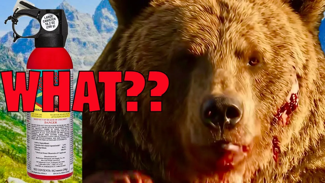 Another Grizzly Attack in Montana | Media Says BEAR SPRAY ONLY! JAPAN IS DOING BETTER