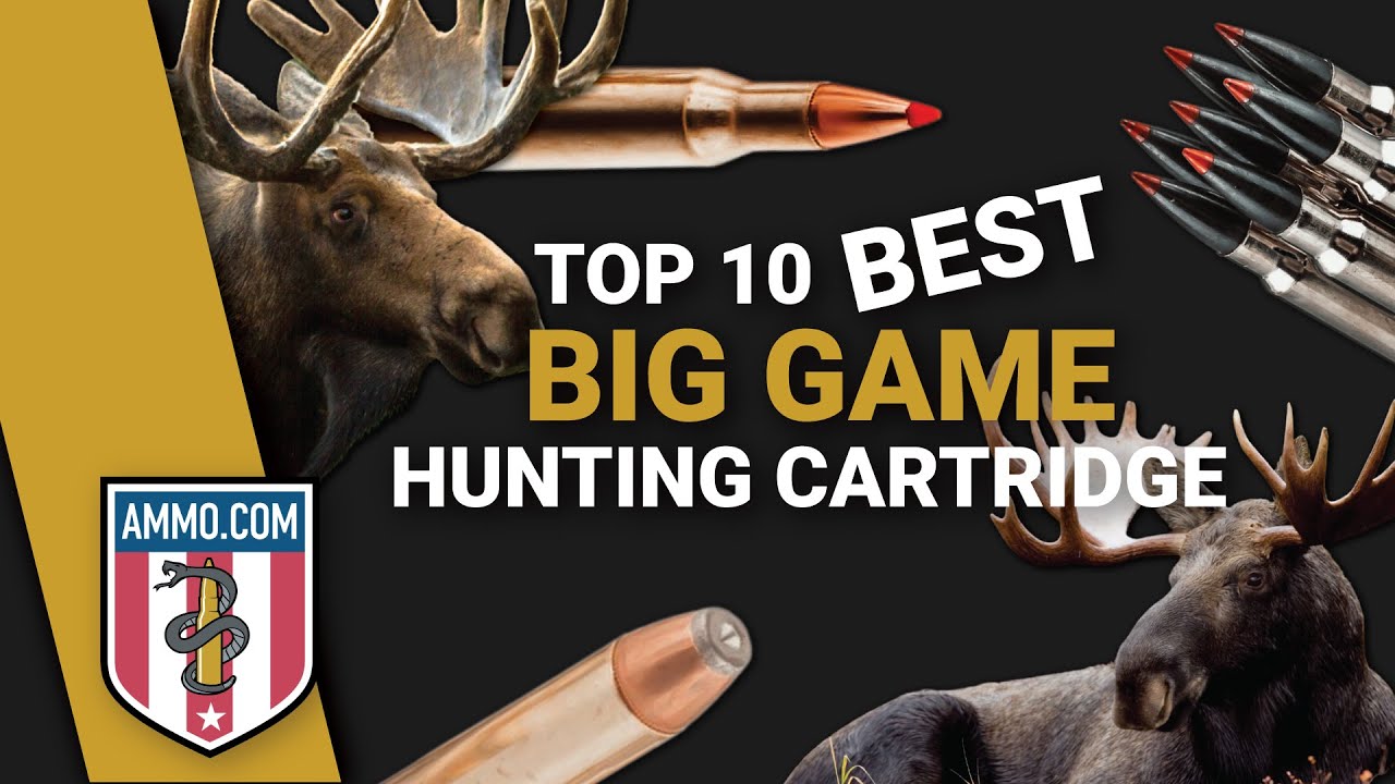 Top 10 Best Big Game Hunting Cartridges for Your Next Hunt