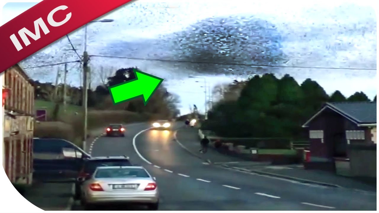 These Unbelievable Videos Will Keep You Awake At Night..