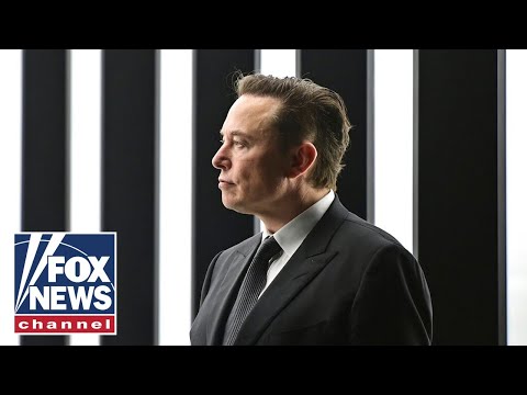 Elon Musk represents a 'danger' to the left: Gingrich