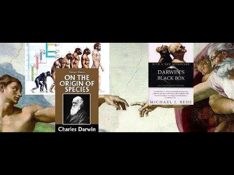 Ryan Grant Interview w/ Hugh Owen of the Kolbe Center - Creation vs Evolution