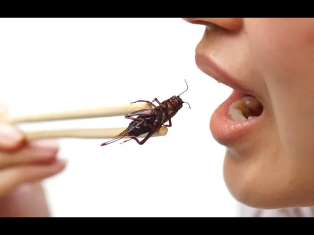 Mmm Mmm Good, Crickets, The Left's New Health Food