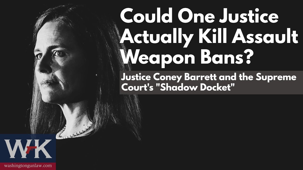 Could One Justice Actually Kill Assault Weapon Bans?