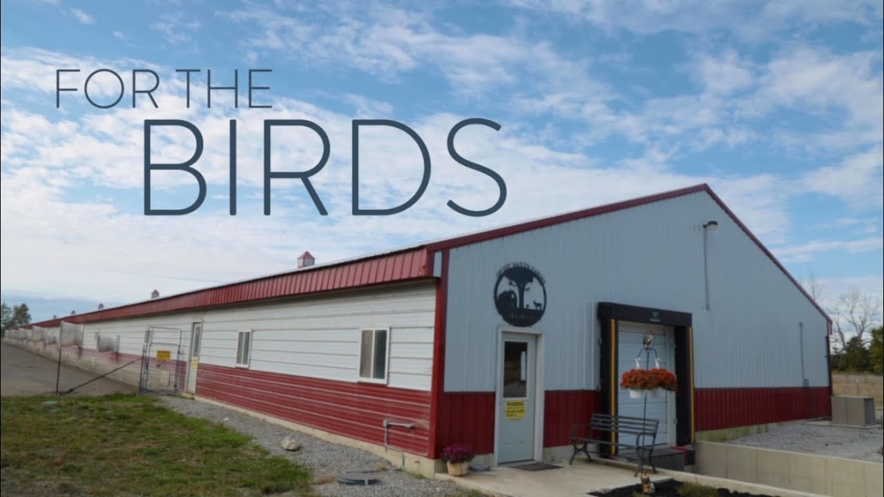 Natural Grocers Presents: For The Birds