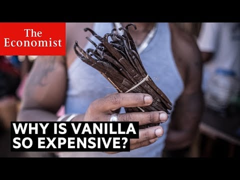 Why is vanilla so expensive? | The Economist