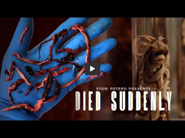 Died Suddenly-- Watch the full documentary but please be wary is is not for the faint of heart