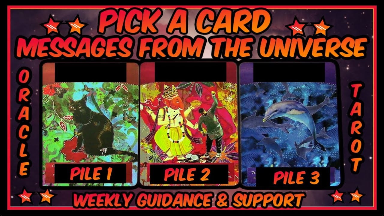 Pick A Card Oracle & Tarot - Timeless Messages From The Universe 🌌 Weekly Guidance & Support😼🐘🐬