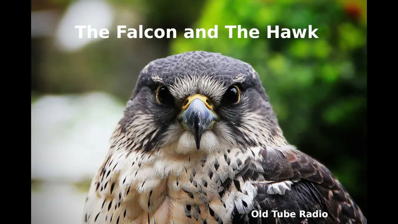 The Falcon and The Hawk