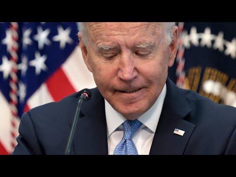 Joe Biden is either 'lying' or 'genuinely doesn't know' why he first entered politics