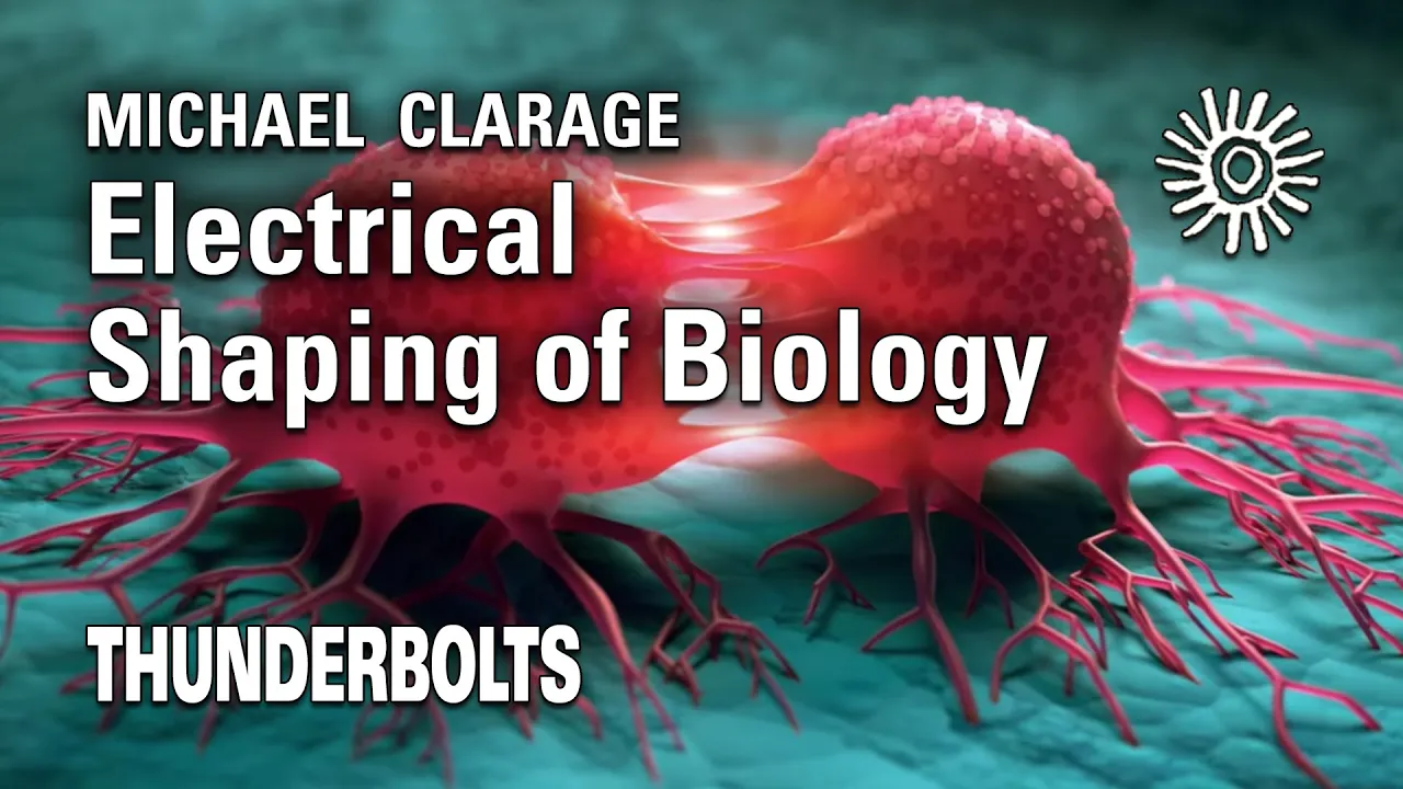 Michael Clarage: Electrical Shaping of Biology | Thunderbolts