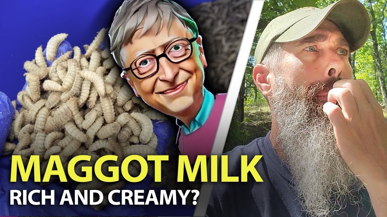 Bill Gates And MAGGOT MILK! - No Seriously!