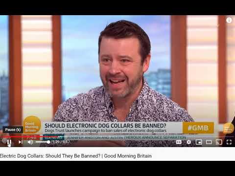 Jamie Penrith - You already Blew it on Good Morning Britain over the Remote Collar Bans