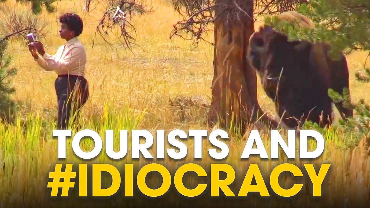 Tourists and #IDIOCRACY