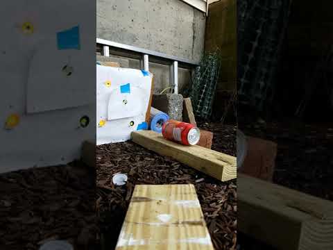 22 CAL slo mo pellet air rifle vs full seltzer can  to end