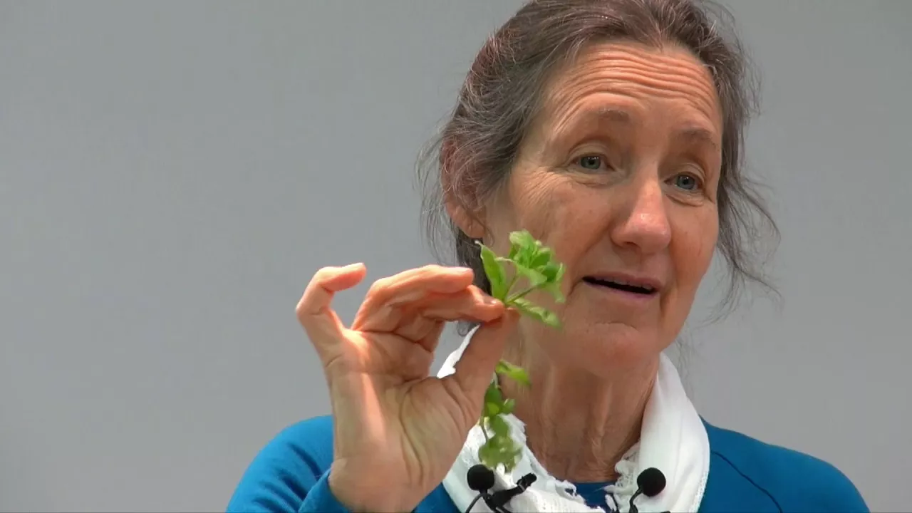 Barbara O'Neill - Part 11: Herbs