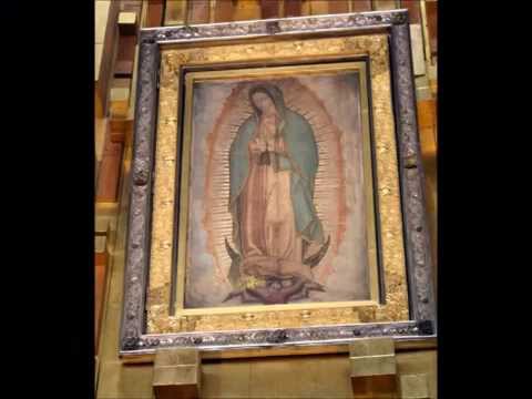 Our Lady of Guadalupe & the Church