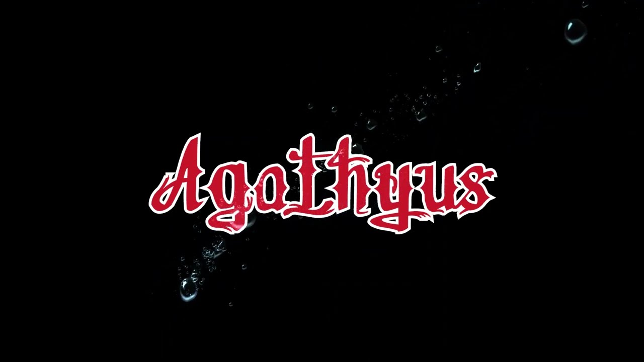Agathyus ¦ Glücklich (offizielles lyrik-audio)