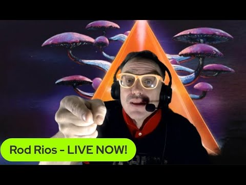 Rod Rios - Who's a bitch?