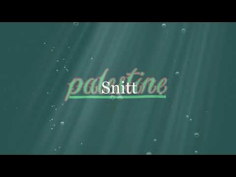 Palestine ¦ Snitt (hivatalos dalszöveges audió)