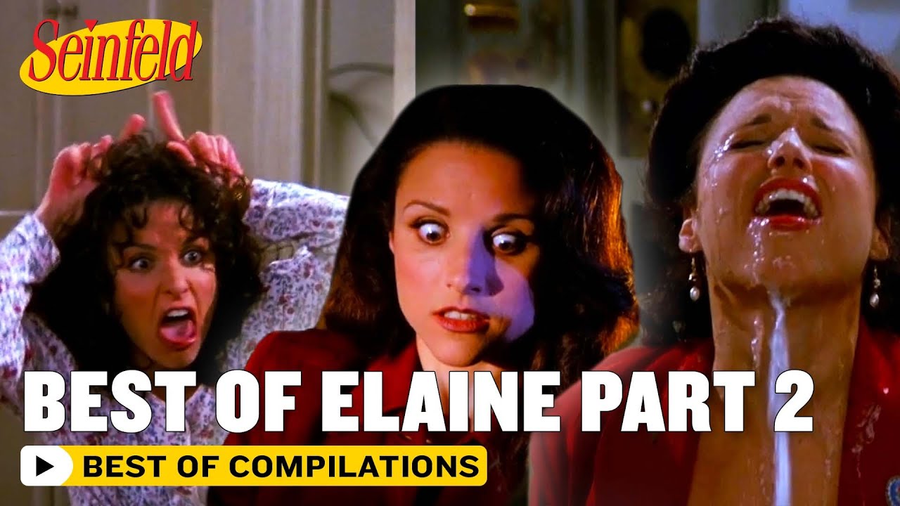Best Of Elaine Part 2 | Seinfeld