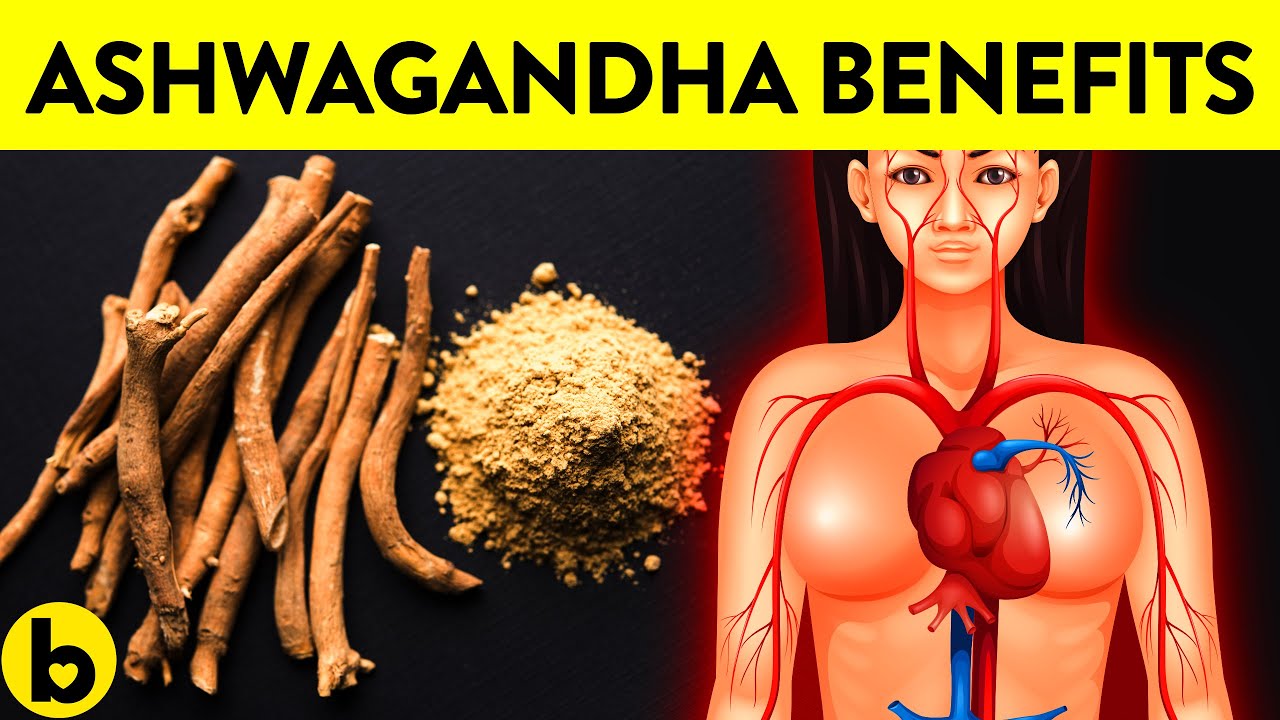 Brilliant Science Backed Health Benefits Of Ashwagandha