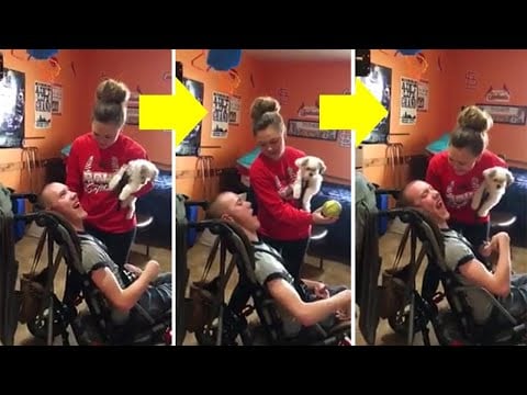 When A Teen Approached This Boy In A Wheelchair, A Camera Captured His Stunned Reaction To Her Words