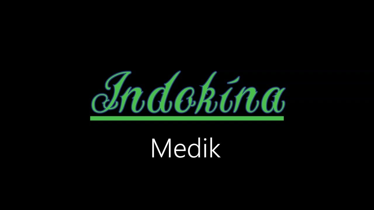 Indokína ¦ Medik (officiäl audió)