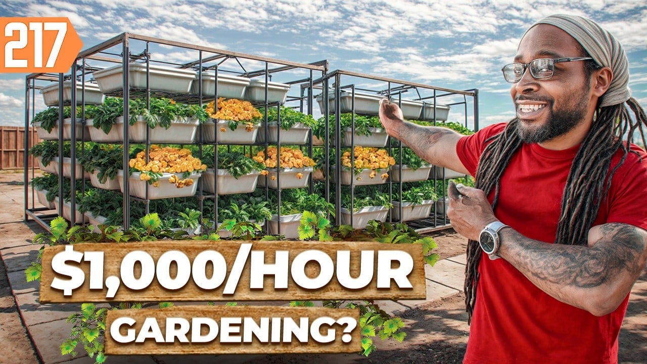 Grow - How this NASA Secret Could Turn Your Backyard Into $10K/Month -