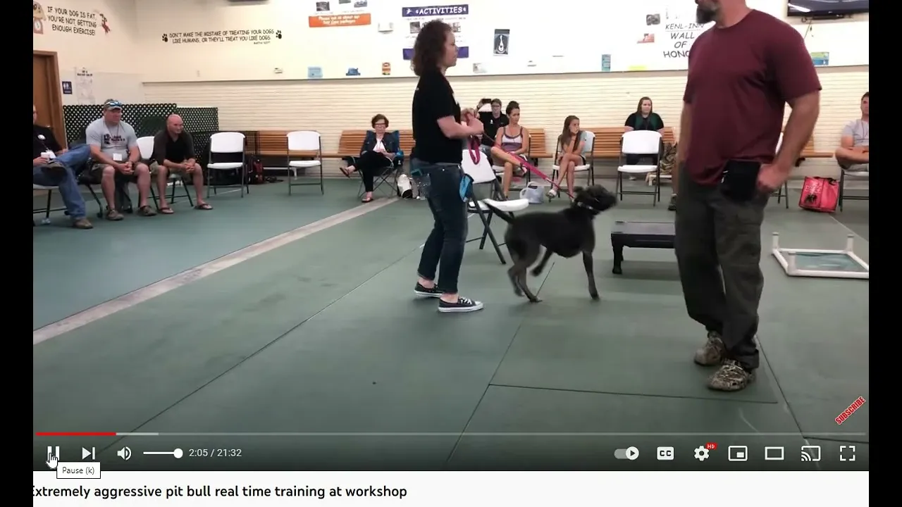 Larry Krohn - Attempting to Find the "Working Level" within the Confusion of Balanced Dog Training