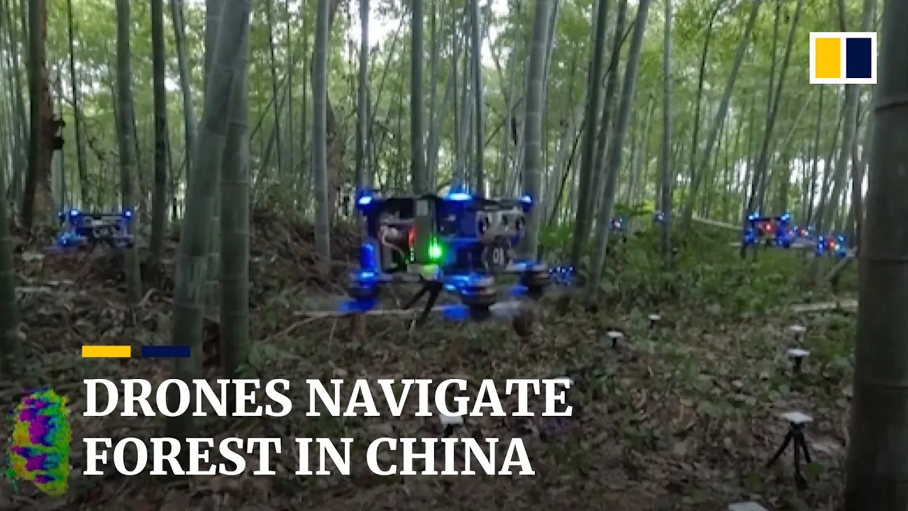 Autonomous drones fly through Chinese bamboo forest